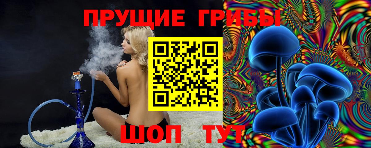 Галлюциногенные грибы Psilocybe  Вход с VPN  Лянтор  Галлюциногенные грибы мицелий 